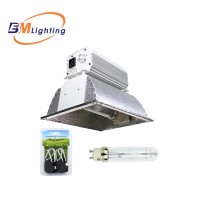 wholesale 315W CMH grow light kit with CMH digital ballast